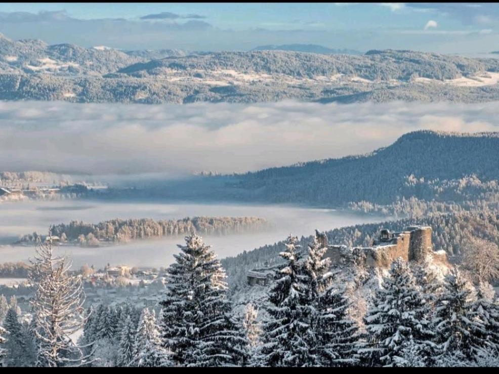 Alpe-Adria Apartments Chanel Top12 Oberaichwald  Bagian luar foto